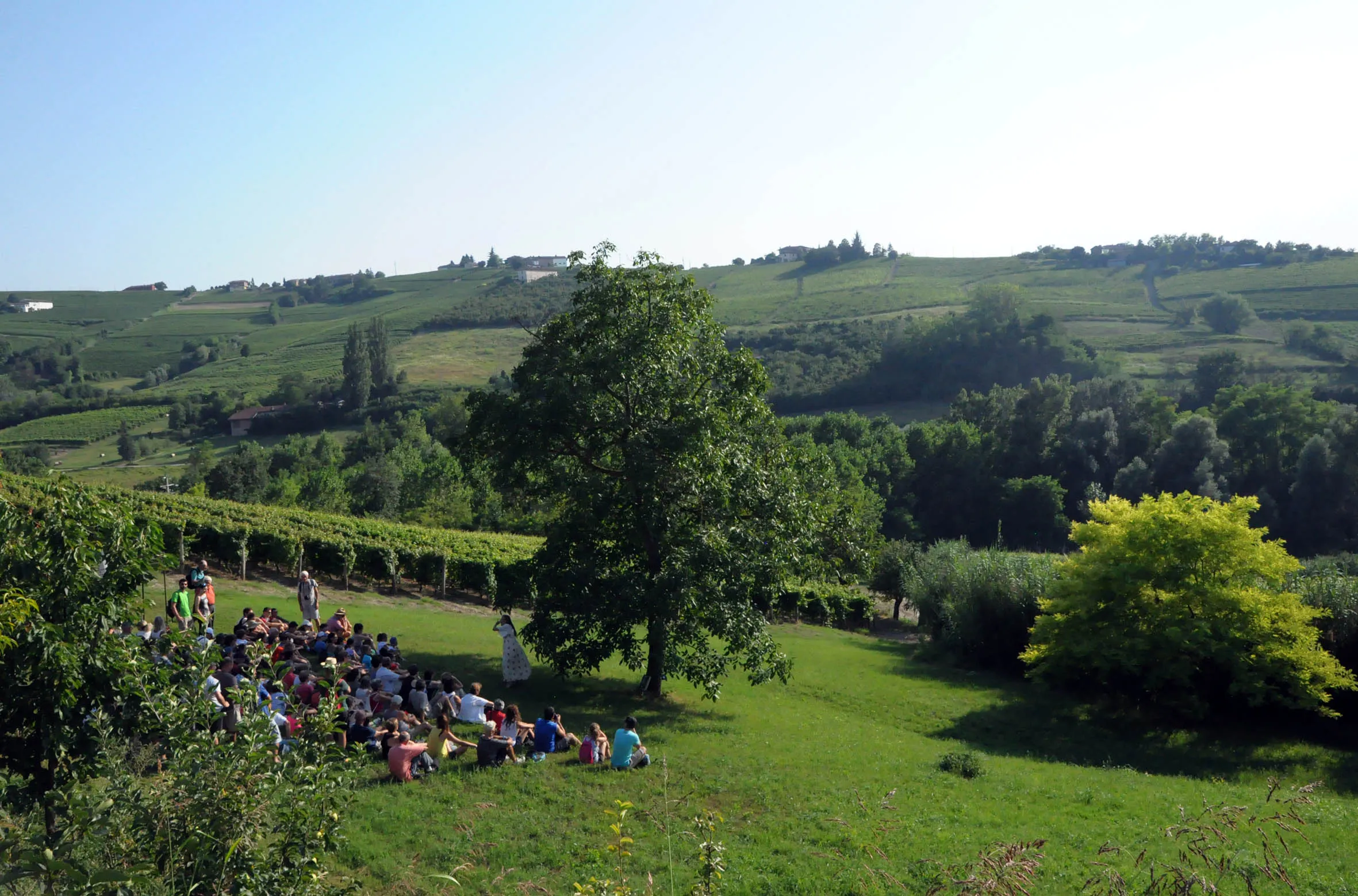 Il Teatro degli Acerbi, Gli appuntamenti estivi