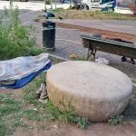 San Salvario: Degrado e Appelli per l’Aiuola Ginzburg