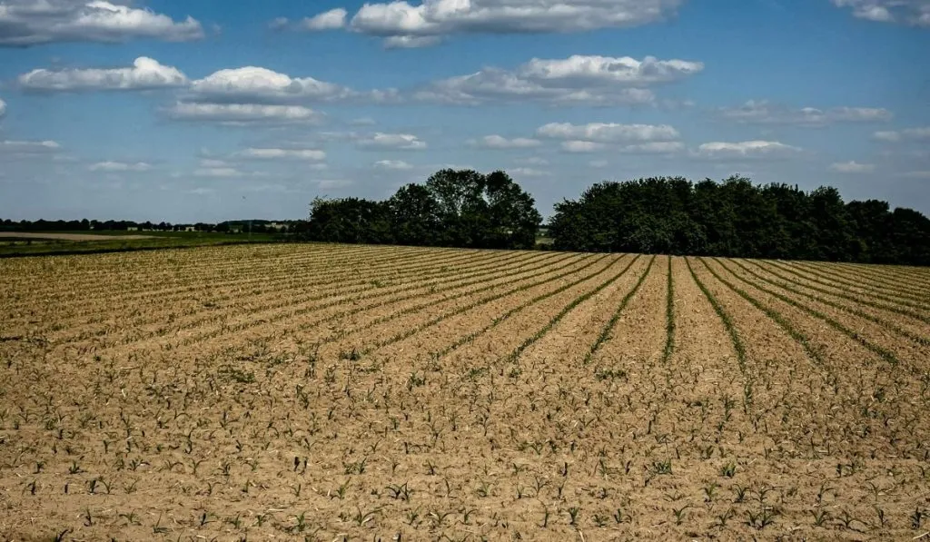 Ordinanza anti-caldo in Piemonte: divieto di lavoro in alcune ore della giornata