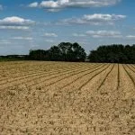 Ordinanza anti-caldo in Piemonte: divieto di lavoro in alcune ore della giornata