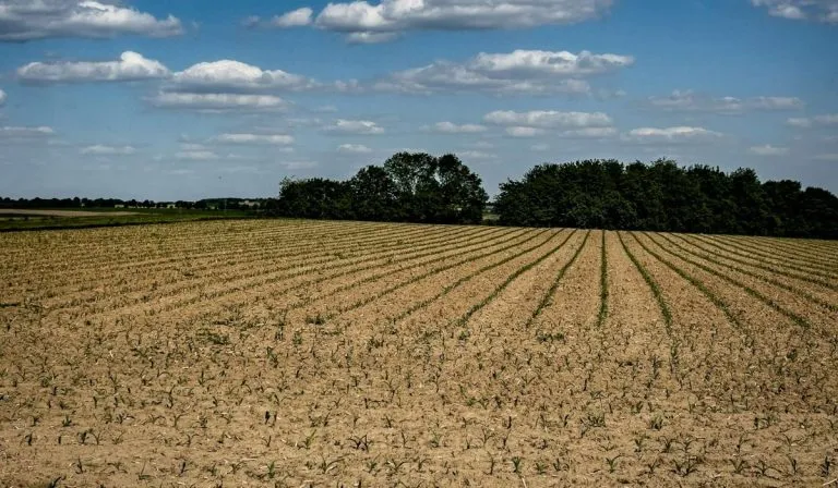 Ordinanza anti-caldo in Piemonte: divieto di lavoro in alcune ore della giornata