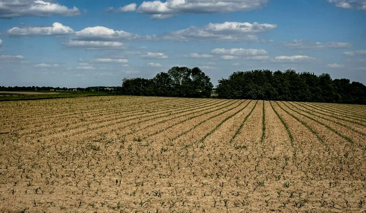 Ordinanza anti-caldo in Piemonte: divieto di lavoro in alcune ore della giornata
