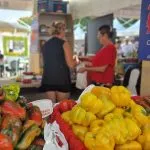 La 76ª Fiera del Peperone di Carmagnola: tra Tradizione Culinaria e Innovazioni Interattive