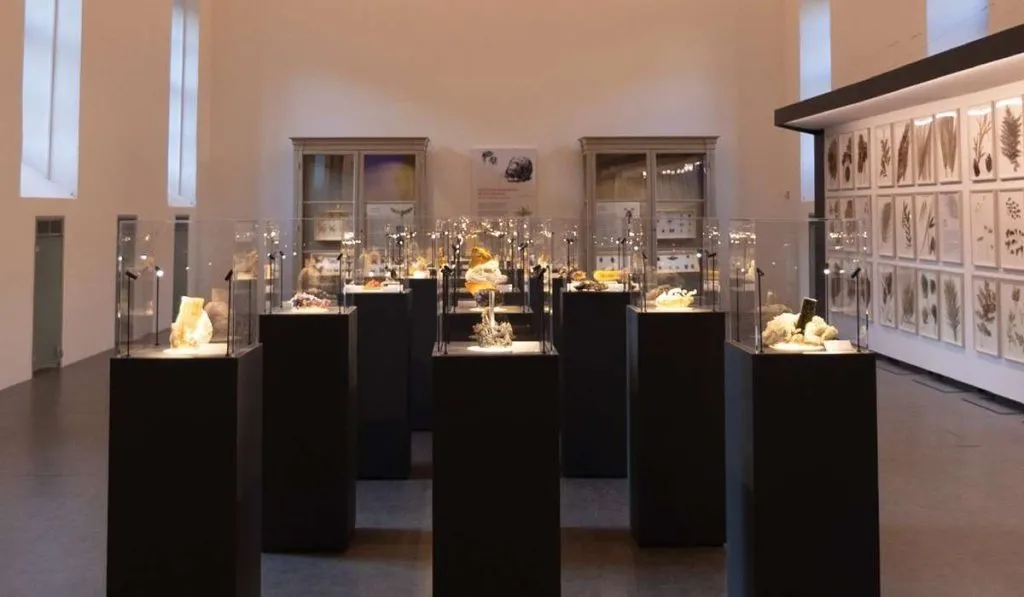 Museo Regionale di Scienze Naturali di Torino: ad agosto l’ingresso è gratuito