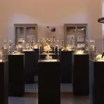 Museo Regionale di Scienze Naturali di Torino: ad agosto l’ingresso è gratuito