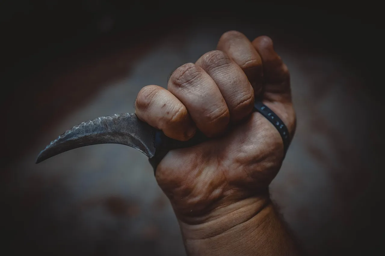 Torino, rapina con accoltellamento a Barriera Milano: arrestato un 24enne