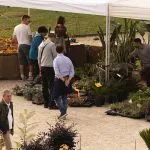 FLOReal 2026 a Stupinigi: tre giorni tra piante rare, bonsai e cactus