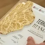 Tartufo bianco, nasce Terre del Bianco: nove fiere unite in Piemonte