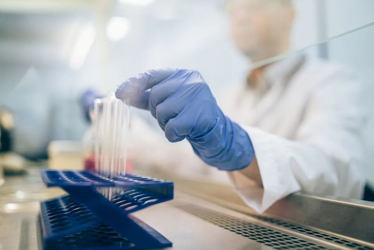 Festival dell’Innovazione e della Scienza 2026, a Settimo Torinese otto giorni di eventi e grandi ospiti